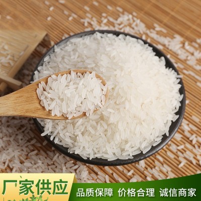 厂家批发玉倩 香米包装规格齐全5KG/10KG/15KG/25KG 精诚食品图5