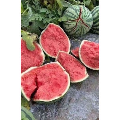 河南开封西瓜、代办代发专业团队、原产地发货、保熟保甜图4