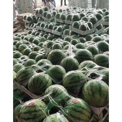 陆地美都、有籽美都、质量三包、视频看货图5