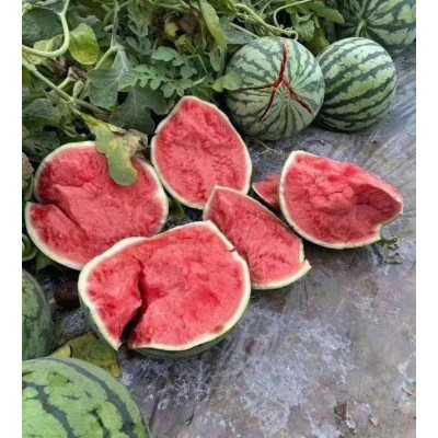 超大果冻干草莓A货整颗草莓脆厂家散装批发 fd草莓冻干雪花酥原料图5