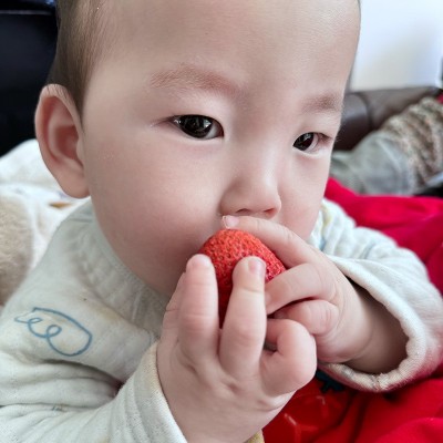 超大果冻干草莓A货整颗草莓脆厂家散装批发 fd草莓冻干雪花酥原料图2