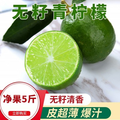 广西无籽青柠檬皮薄多汁当季水果榨汁奶茶店专供整件批发图2