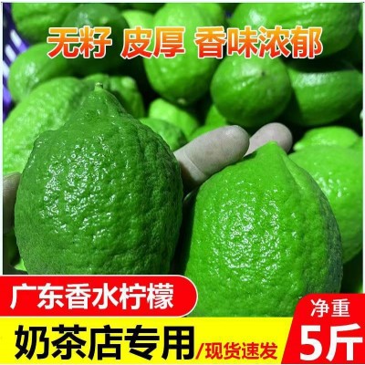 广东香水柠檬无籽一级果产地直发新鲜水果奶茶店专用整箱批发图2