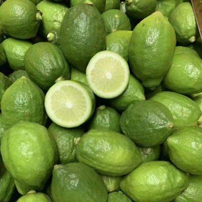 广东香水柠檬无籽一级果产地直发新鲜水果奶茶店专用整箱批发图4