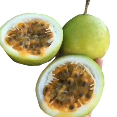 黄金百香果海南钦蜜9号一级芭乐西番莲鸡蛋果图5