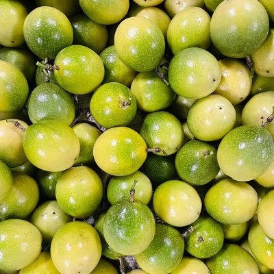 黄金百香果海南钦蜜9号一级芭乐西番莲鸡蛋果图4