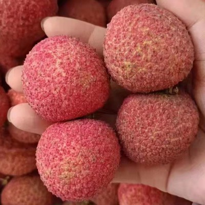 海南无核荔枝一种吃了没有核的荔枝顺丰包邮图4