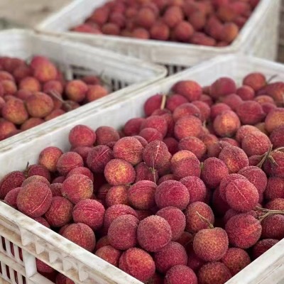 海南无核荔枝一种吃了没有核的荔枝顺丰包邮图5