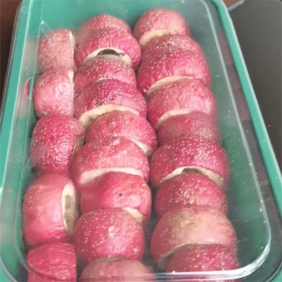 冻干山楂 酸甜可口山楂制品 无核 休闲食品 独立包装图5