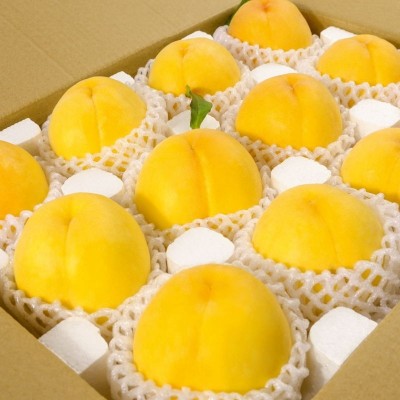 现摘黄桃新鲜水果脆甜桃子时令水果应当季整箱毛桃黄金蜜图5