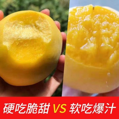 现摘黄桃新鲜水果脆甜桃子时令水果应当季整箱毛桃黄金蜜图4