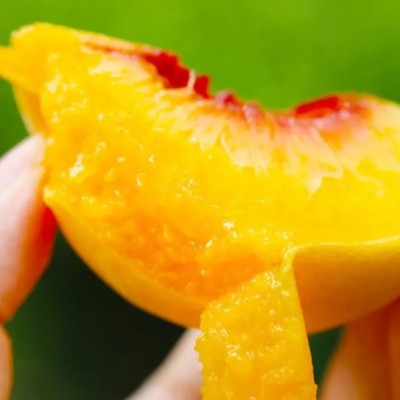 山东/陕西 红心锦绣黄桃5斤水蜜桃子 香甜爆汁黄肉新鲜应季水果图3