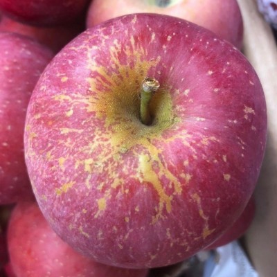 大凉山盐源丑苹果糖心苹果脆甜多汁新鲜采摘脆苹果一件代发图3