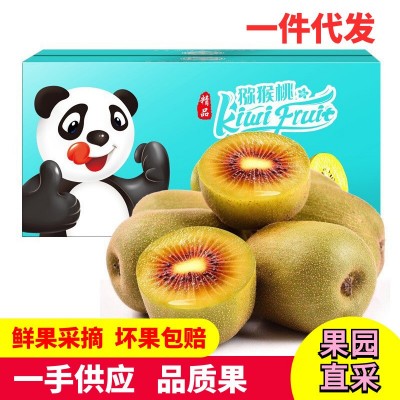一级果纯甜四川蒲江红心猕猴桃奇异果新鲜当季水果批发代发品质果图3