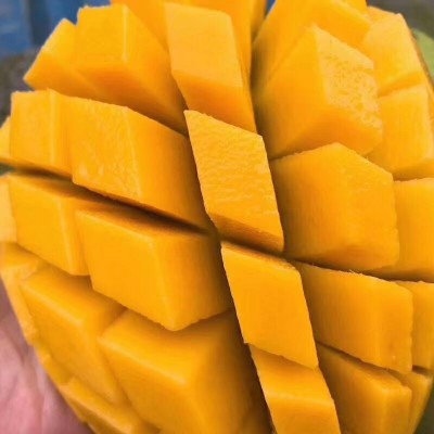 大金煌芒特大芒果新鲜当季水果芒果一件代发图4