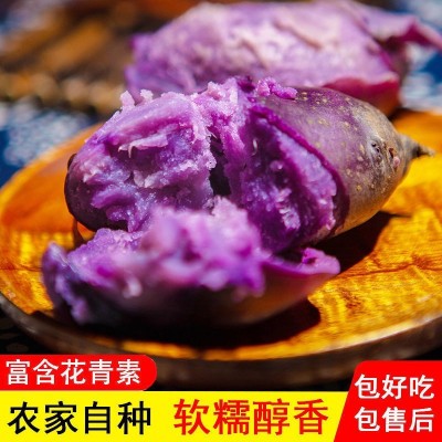 定制黑土豆新鲜蔬菜黑金刚乌洋芋紫色马铃薯紫黑花青素土豆批发图4