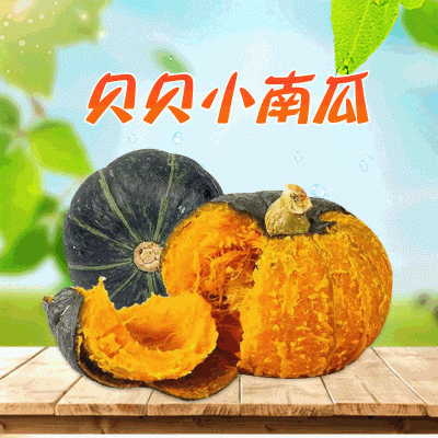 新鲜贝贝南瓜宝宝辅食香甜软糯 山东寿光板栗南瓜迷你小南瓜包邮图2