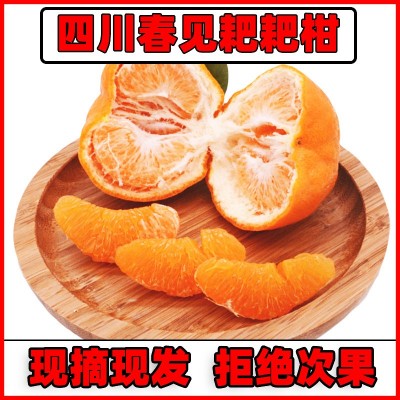 水果批发四川春见耙耙柑整箱应季水果砂糖桔丑八怪柑橘大果粑粑柑图4