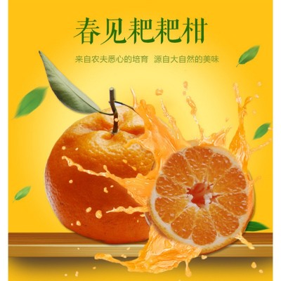 水果批发四川春见耙耙柑整箱应季水果砂糖桔丑八怪柑橘大果粑粑柑图2