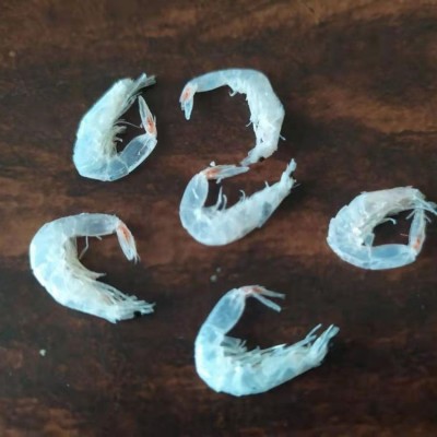 批发原味 虾皮 海虾皮 新鲜虾皮 鲜味好 1000g 鲁滨海产图4