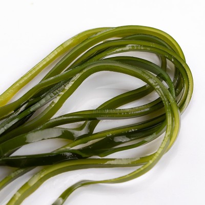 霞浦海带 烘干海带丝 圆饼烤丝 干净高品质 厂家直销图4