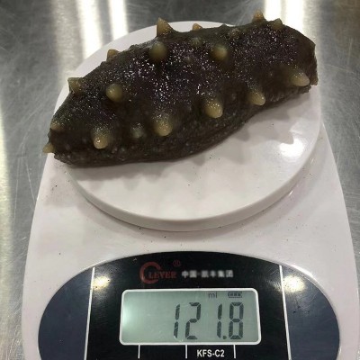 【加工定制】新瑞西海纯淡干海参泡发高淡干海参代发顺丰包邮图4