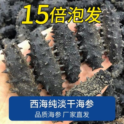新瑞海参批发工厂西海纯淡干海参干货刺参15倍礼盒装代发顺丰包邮图2