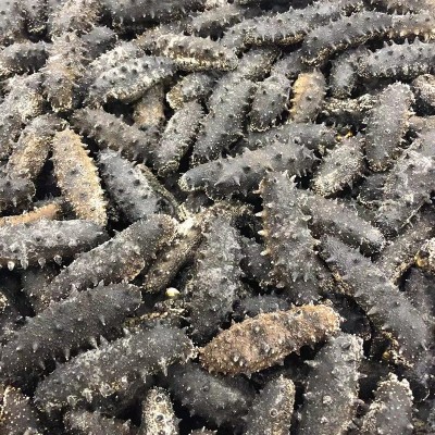 新瑞海参批发工厂西海纯淡干海参干货刺参15倍礼盒装代发顺丰包邮图3