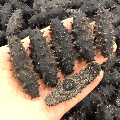 新瑞海参批发工厂西海纯淡干海参干货刺参15倍礼盒装代发顺丰包邮图4