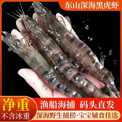 漳州东山鲜活速冻黑虎虾野生黑节虾海捕特大超大虾活冻刺身高品质图3