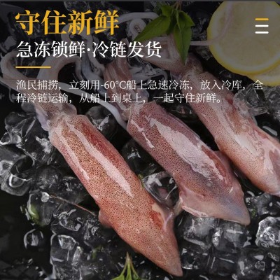 福建东山岛名片活小管活冻刺身鱿鱼鲜活灯光诱捕软体餐饮生鲜批发图3