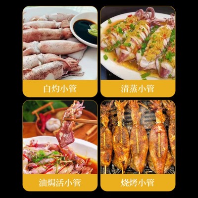 福建东山岛名片活小管活冻刺身鱿鱼鲜活灯光诱捕软体餐饮生鲜批发图5