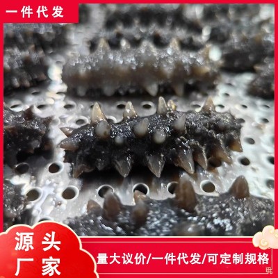 工厂批发鲜食海参刺参海参非干货500g海参一手货源一件代发图2