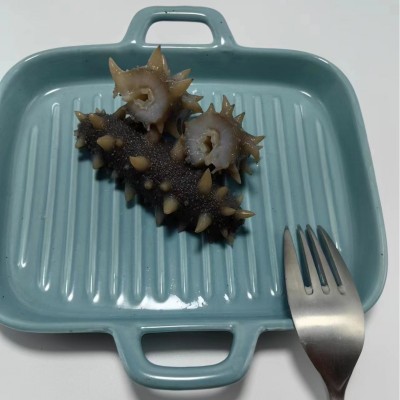 工厂批发鲜食海参刺参海参非干货500g海参一手货源一件代发图3