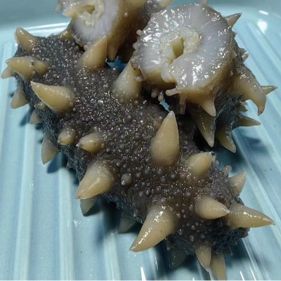 工厂批发鲜食海参刺参海参非干货500g海参一手货源一件代发图5