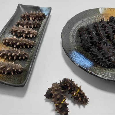 海参工厂海参干货海参FD冻干海参一件代发冻干海参批发图5