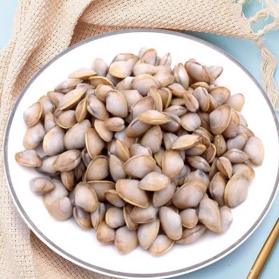 海鲜鲜活海瓜子 新鲜无沙海沙子白瓜子 海捕小蛤蜊南海水产贝类图4