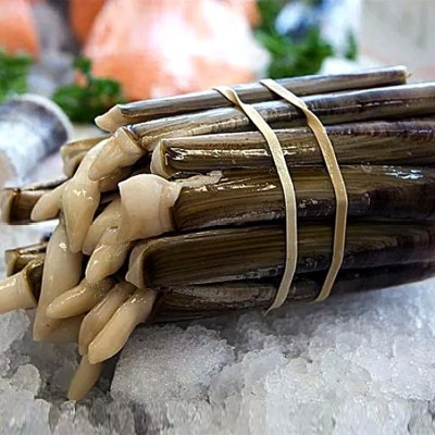 鲜活竹节蛏大竹蛏海鲜水产长竹蛏无沙贝类新鲜手指蛏竹蛏王500g图2