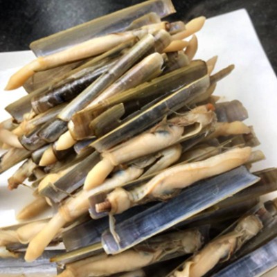 鲜活竹节蛏大竹蛏海鲜水产长竹蛏无沙贝类新鲜手指蛏竹蛏王500g图3