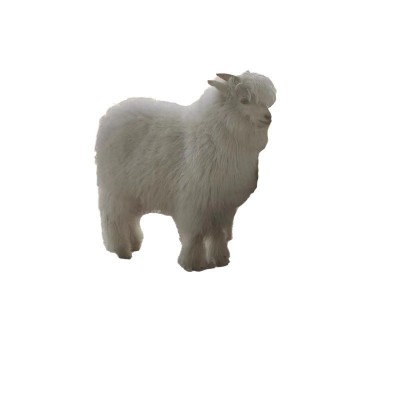 活体绒山羊观赏宠物羊侏儒羊旅游景区观赏宠物羊批发价格图4