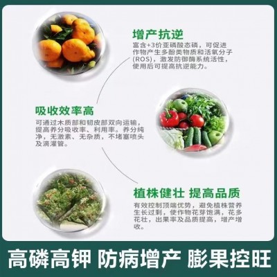 德国康朴亚磷酸叶面肥柑橘保花果蔬保果膨果磷酸二氢钾杀菌进口图3