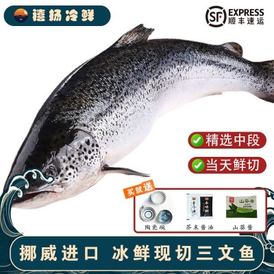 挪威三文鱼整条进口H111冰鲜鲑鱼刺身生鱼片即食中段日料海鲜批发图2