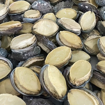 旺品岛批发代发直播电商鲍鱼干商用餐饮水产干货海鲜礼盒冻干鲍鱼图3