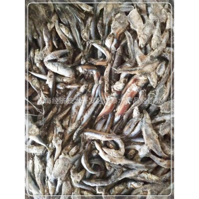 厂家批发 鳀鱼鱼食饲料鱼鱼饲料船冻饲料鱼冷冻货图4