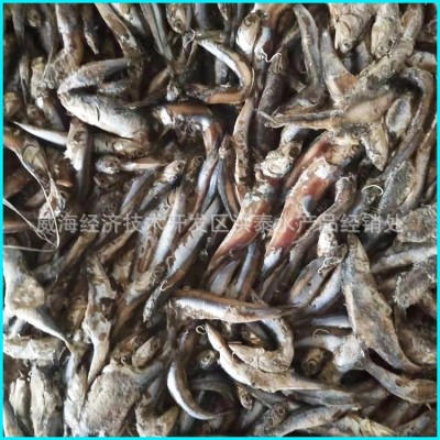 厂家批发 鳀鱼鱼食饲料鱼鱼饲料船冻饲料鱼冷冻货图3