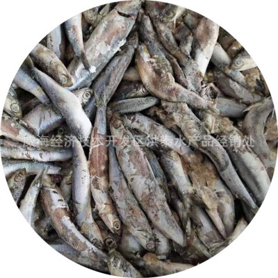 厂家批发 鳀鱼鱼食饲料鱼鱼饲料船冻饲料鱼冷冻货图5