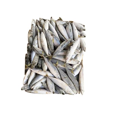 洪泰水产批发船冻鲐鱼青占鱼 冷冻鱼类海鱼深海冻鱼餐饮食材图5