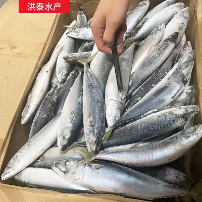 洪泰水产批发船冻鲐鱼青占鱼 冷冻鱼类海鱼深海冻鱼餐饮食材图4
