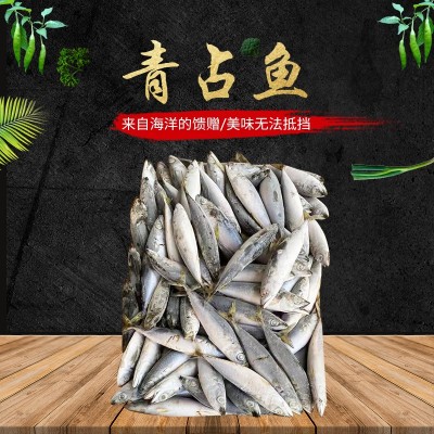 洪泰水产批发船冻鲐鱼青占鱼 冷冻鱼类海鱼深海冻鱼餐饮食材图2