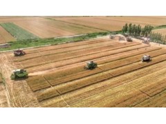 上半年云南省全力抓实各产业发展—— 农业生产总体稳定向好